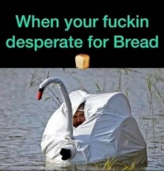 AIBU to ask for your favourite isolation memes?