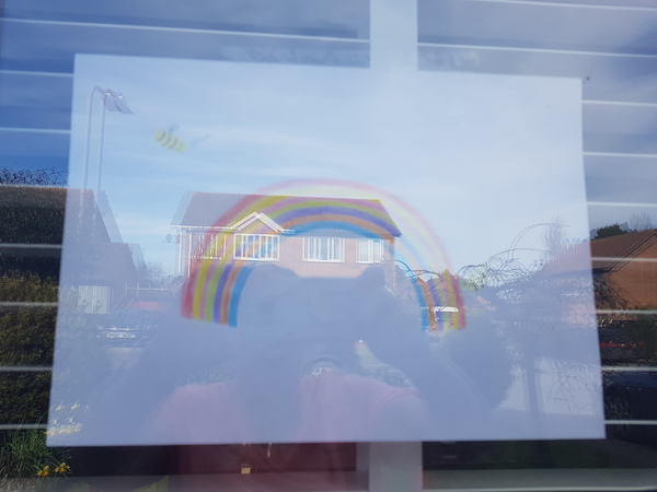 To ask you to share your rainbows?