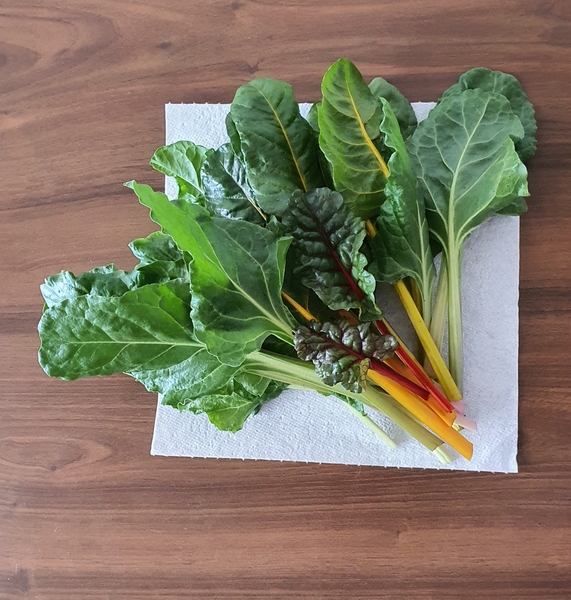 Allotment/Veg Patch Thread 15 - will winter ever end?