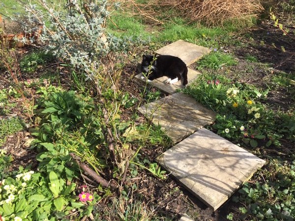 Westminstenders: Events...