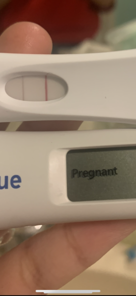 6 positive tests but negative blood work