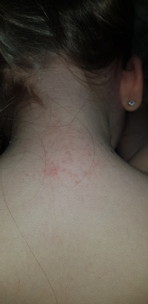 Anyone have any idea what this could be ?