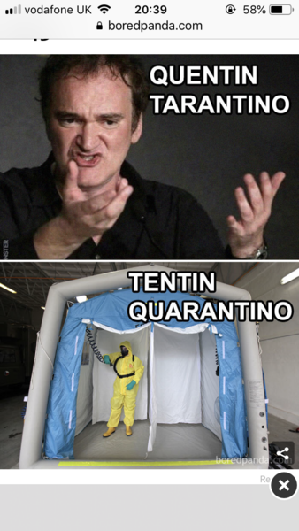 AIBU to ask for your favourite isolation memes?