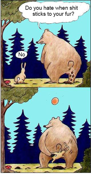 Run out of toilet roll what can I use?