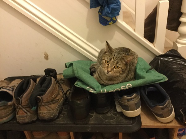 A thread for calm - peace, happy thoughts, support.