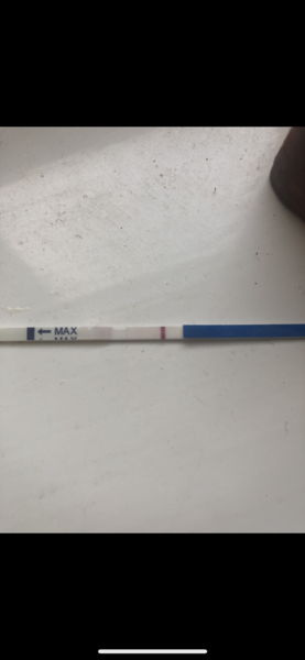 Pregnancy test