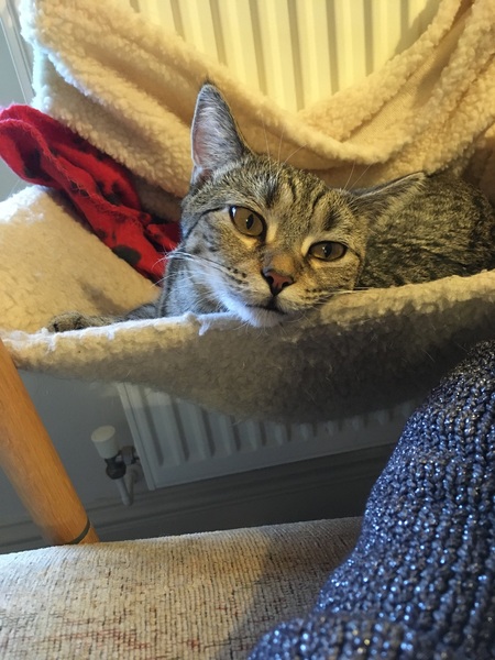 A thread for calm - peace, happy thoughts, support.