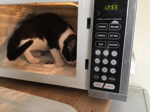 A thread for calm - peace, happy thoughts, support.