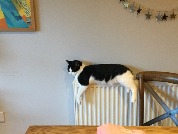 A thread for calm - peace, happy thoughts, support.