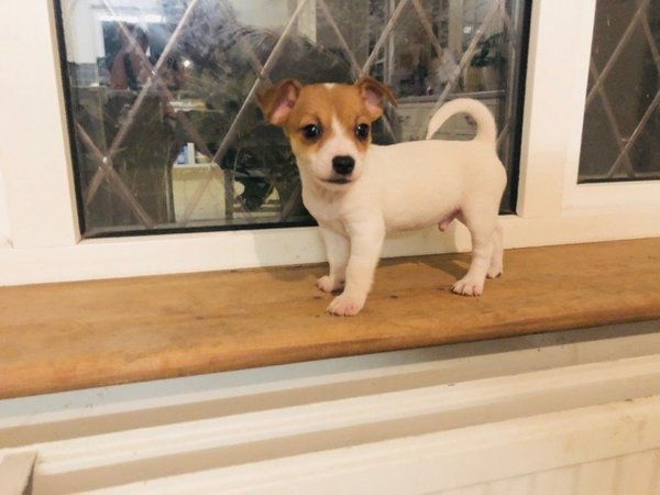 The 'Positive Mental Health' Corona virus thread Part II