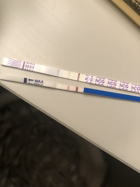 November 2020 Babies?