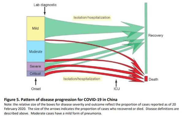 Worried about coronavirus thread 24