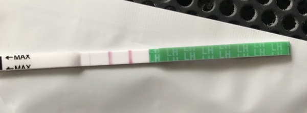 TTC after miscarriage - March 2020