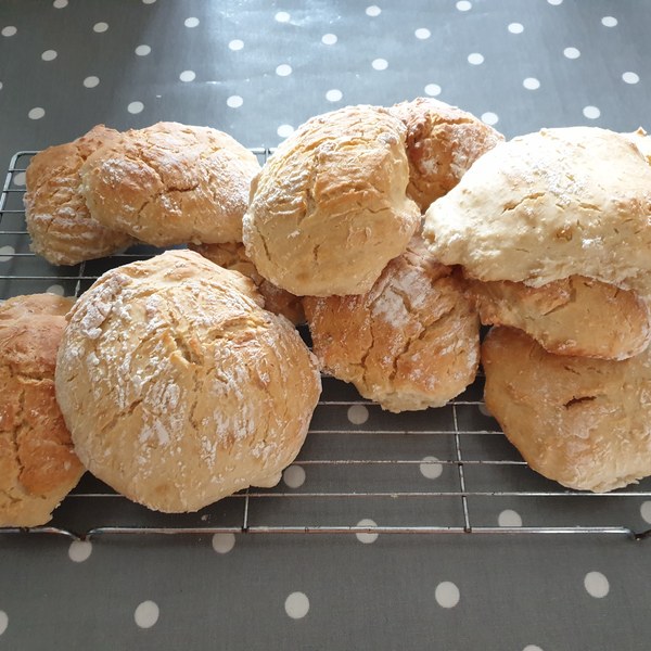 We are out of bread, so I made bannocks today