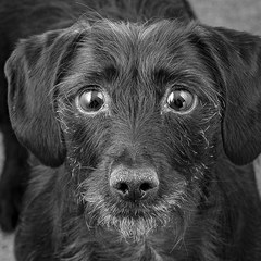 The 'Positive Mental Health' Corona virus thread Part II