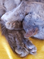 What's your DCat up to today? (Thread 7!)