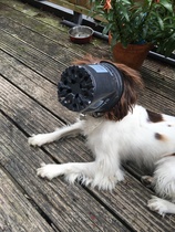 After the gorgeous ddog threads can we have a daft one?
