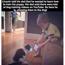 The hopefully amusing pics/memes thread