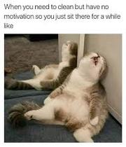 The hopefully amusing pics/memes thread