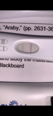 6 positive tests but negative blood work