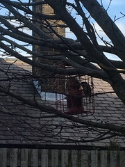 Whilst the world is going to shit (lighthearted)..