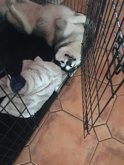 What are you doing today? Tell me about you 'interesting' lives