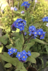 Any Witches Here? Part 11