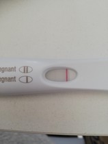 TTC after miscarriage - February 2020