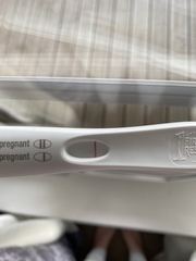 Rapidly losing it with FRER’s!