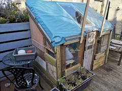 Homemade cold frame/mini greenhouse