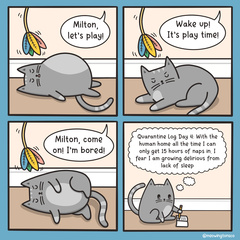 Working from home cats