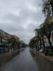 Coved-19 spain