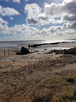 Any Witches Here? Part 10.