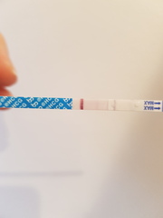 First month of ttc