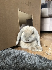 The positive mental health thread - part 4