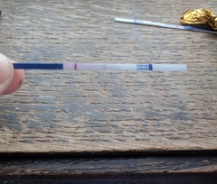 Have I got grounds to rush out for a more conclusive test? (Line eyes!)