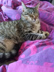 Picture thread