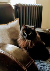 Picture thread