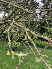Slightly clueless gardeners!