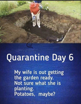 AIBU to ask for your favourite isolation memes?