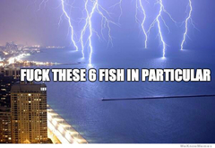 The hopefully amusing pics/memes thread