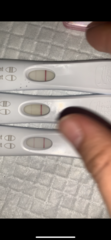 6 positive tests but negative blood work