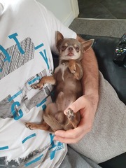 Show me your favourite thing in your house