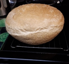 To ask you to show me your baking/food?