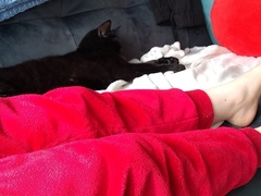 Paws, Ollie, Captain V and all the rest