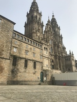 Coved-19 spain