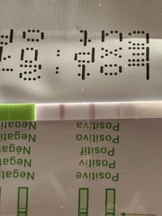 Is this positive? OPK help please