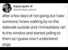 AIBU to ask for your favourite isolation memes?