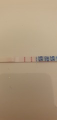 Is this a positive opk - head melted