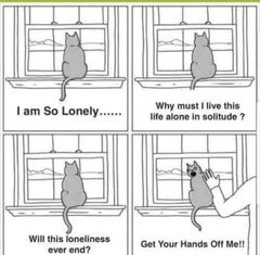 The hopefully amusing pics/memes thread